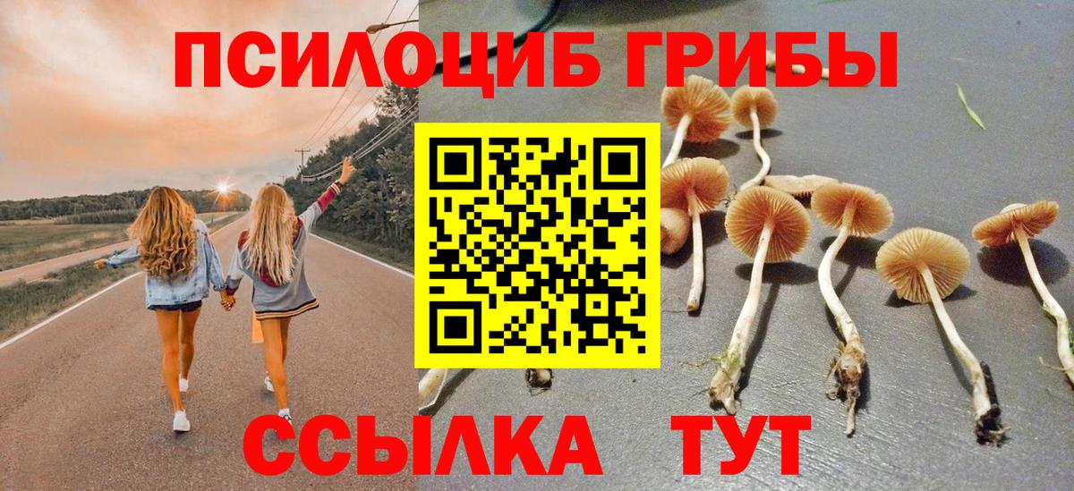 Псилоцибиновые грибы прущие грибы  Псилоцибиновые грибы мухоморы  Вход с VPN  Новоуральск 